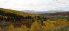 view west from near the summit of McClure Pass