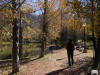 the town park at the end of the box canyon
